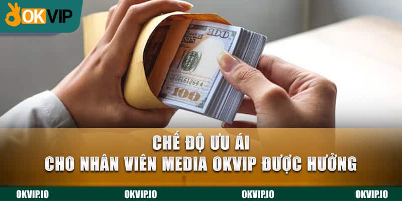 Chế độ ưu ái cho nhân viên Media OKVIP được hưởng