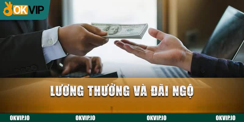 Lương thưởng và đãi ngộ